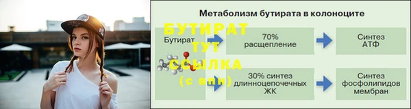 прущие грибы Заводоуковск